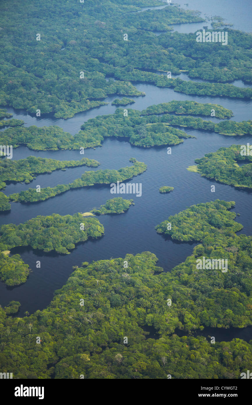 Vue aérienne de la forêt amazonienne et affluent du Rio Negro, Manaus, Amazonas, Brésil Banque D'Images