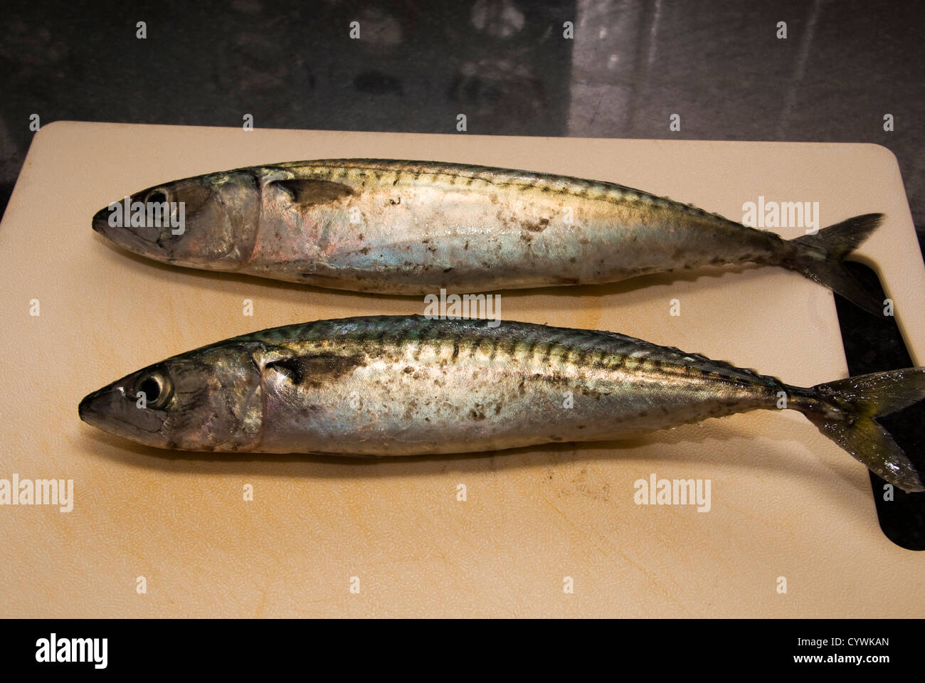 Deux poissons morts ensemble Banque D'Images