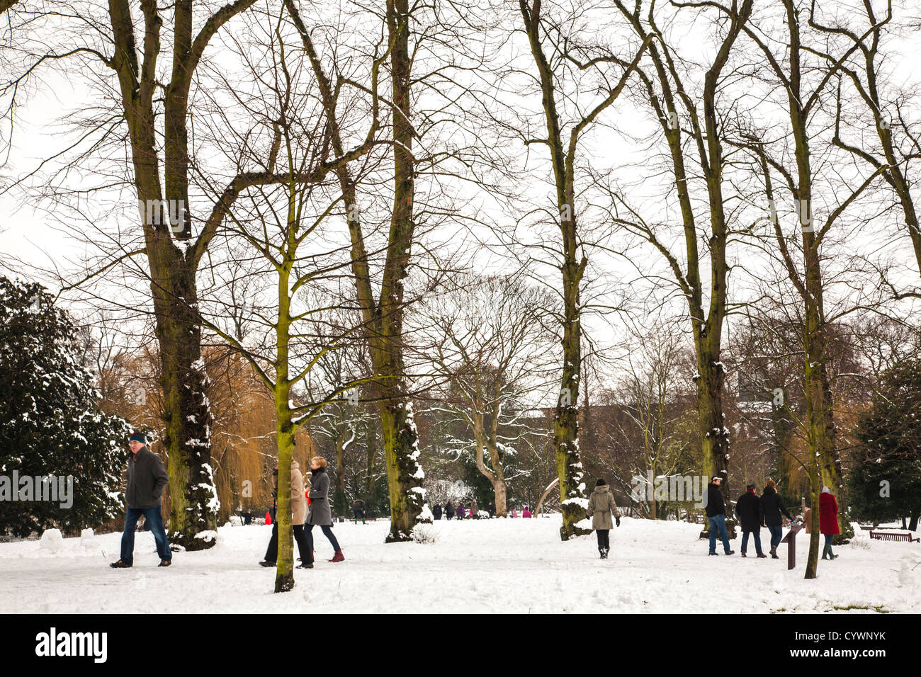 La neige en Waterlow Park, Highgate, Londres Banque D'Images