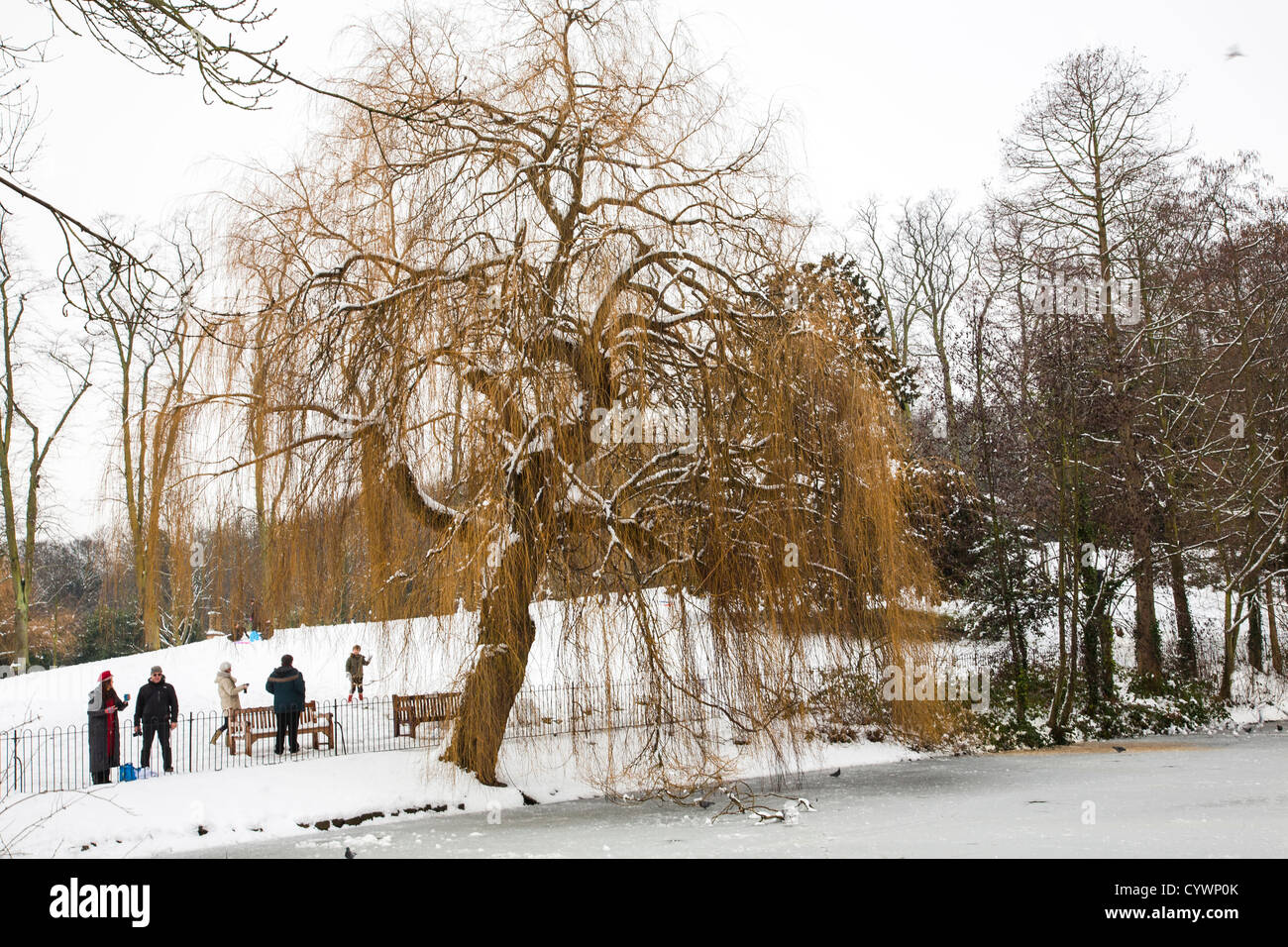 La neige en Waterlow Park, Highgate, Londres Banque D'Images