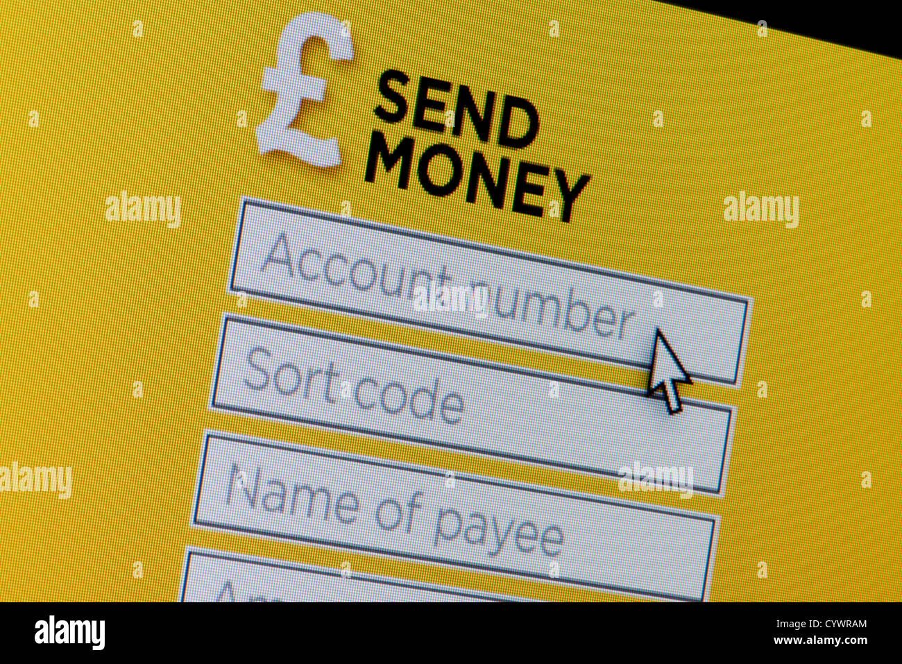 Close up d'un site fictif invitant l'utilisateur à envoyer de l'argent. Banque D'Images