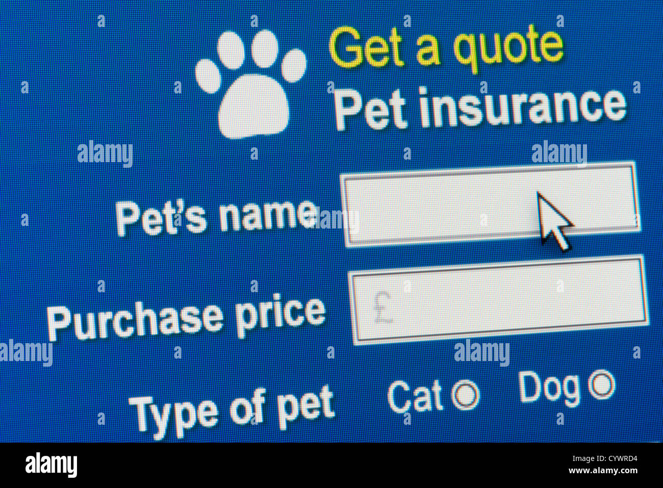 Close up d'un site fictif invitant l'utilisateur à saisir les informations dans le but d'obtenir une soumission d'assurance pour animaux de compagnie. Banque D'Images