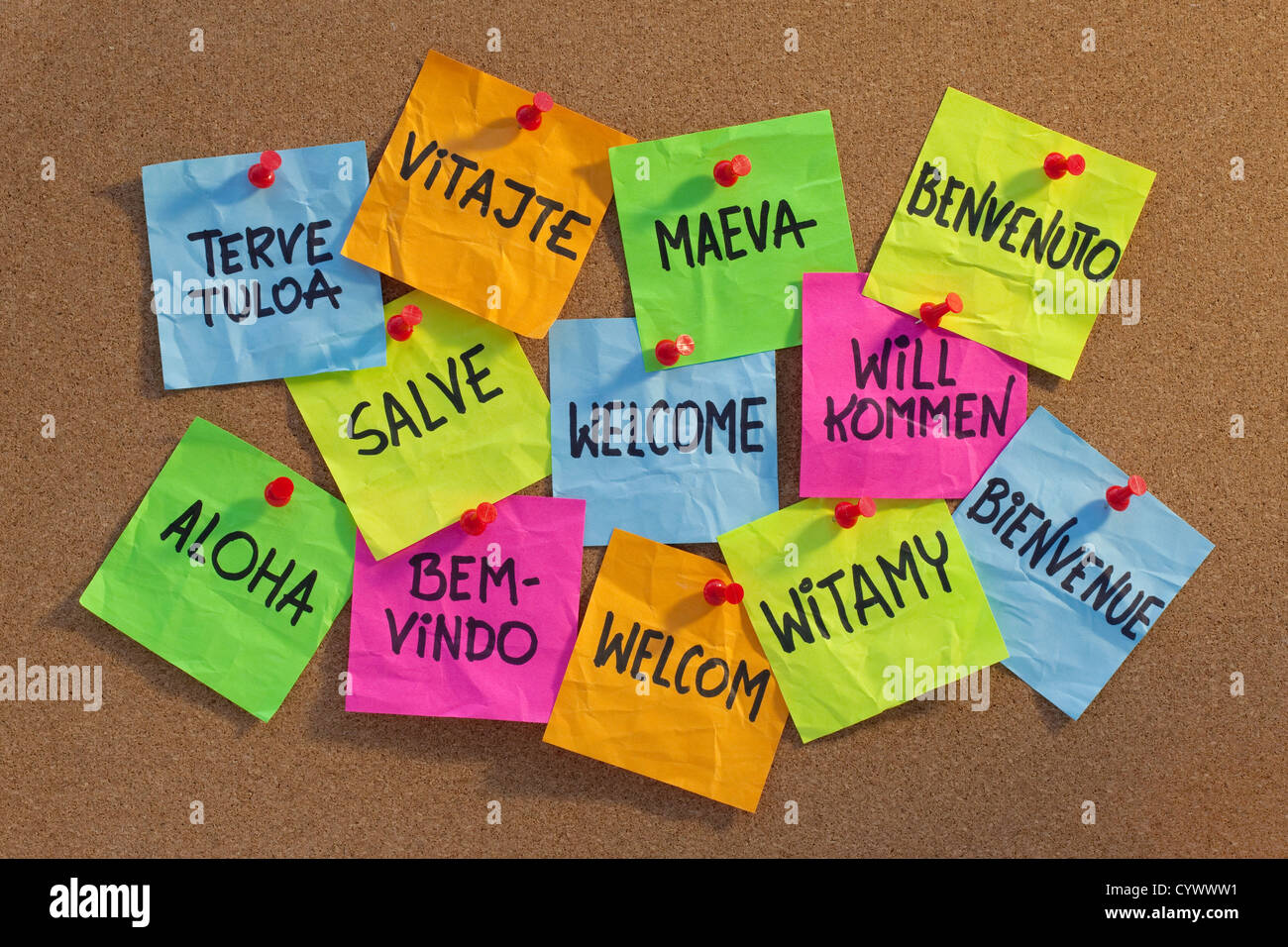 Bienvenue dans une douzaine de langues (finnois, slovaque, Tahitien, italien, latin, anglais, allemand, Hawaian, Portugais, Néerlandais, Polonais, Banque D'Images
