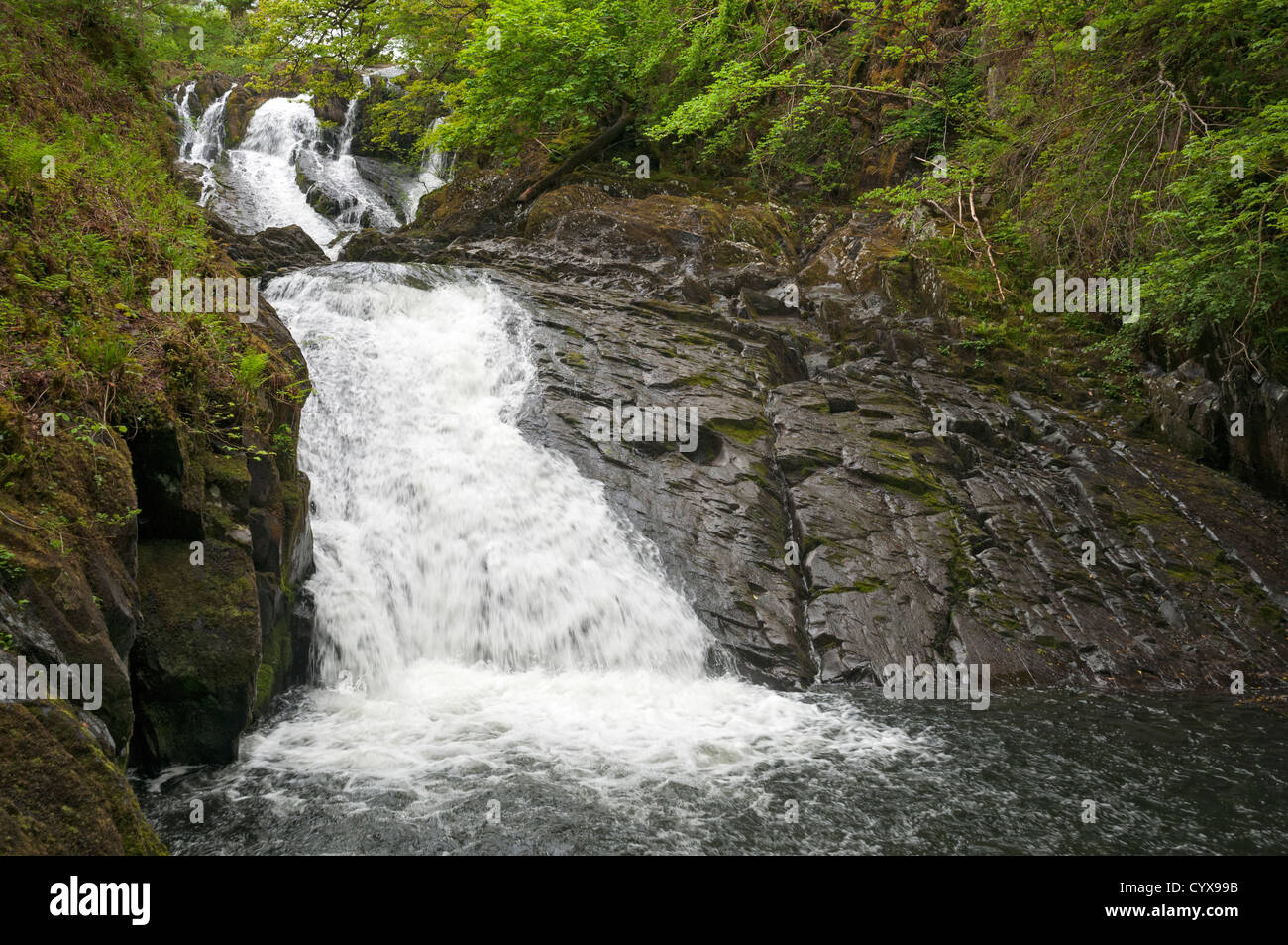 Pays de Galles, le parc national de Snowdonia, Betws-Y-coed, Swallow Falls Banque D'Images