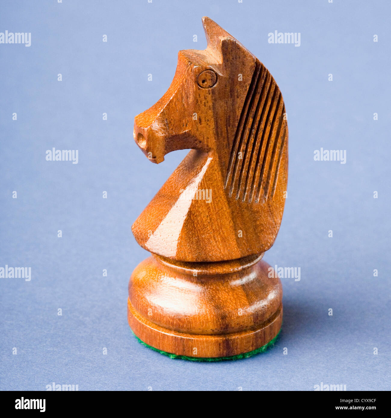 Close-up of a knight chess piece Banque D'Images