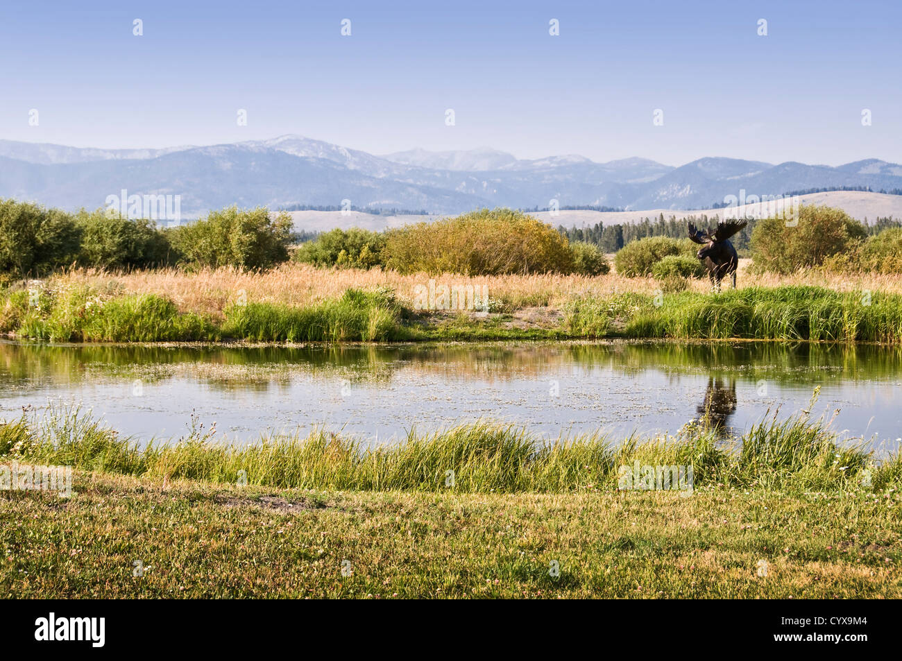 Statue de elk près d'un étang - Bar N Ranch, West Yellowstone, Montana, USA Banque D'Images