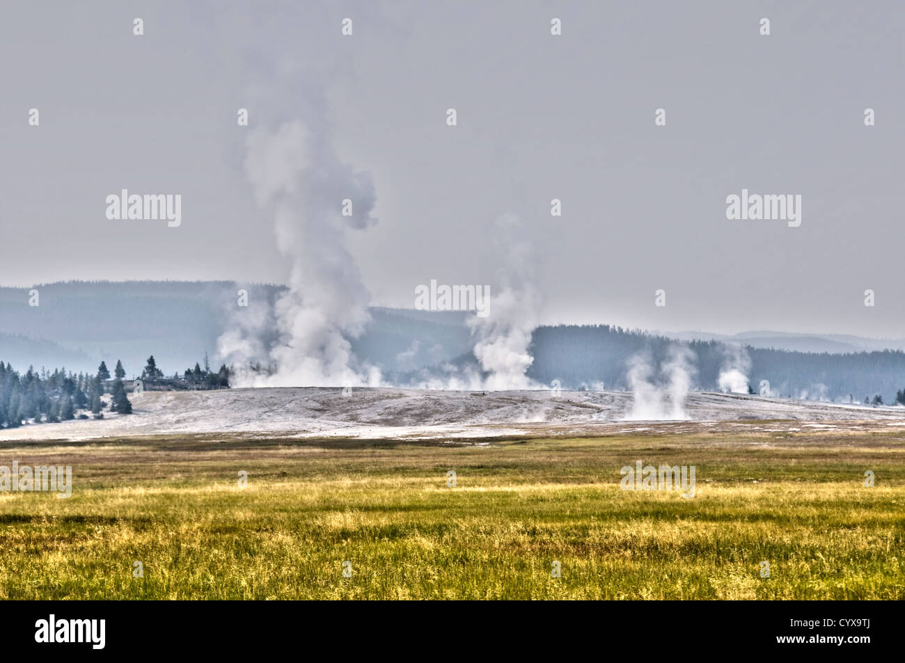 La vapeur et fumarols à moindre Geyser Basin, parc national de Yellowstone, Wyoming, USA Banque D'Images