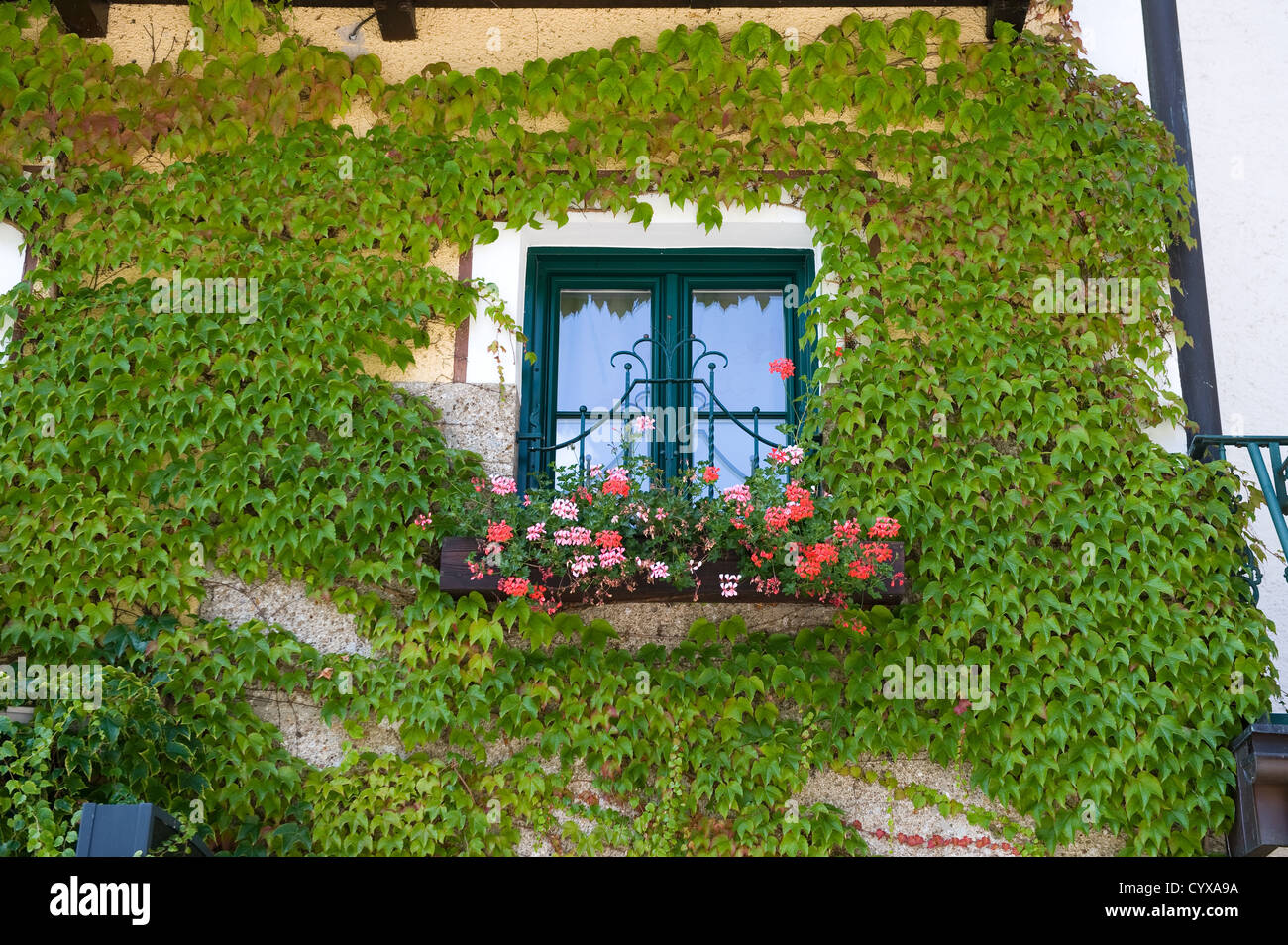 Fenêtre d'une maison en Autriche avec petit balcon avec des fleurs Banque D'Images