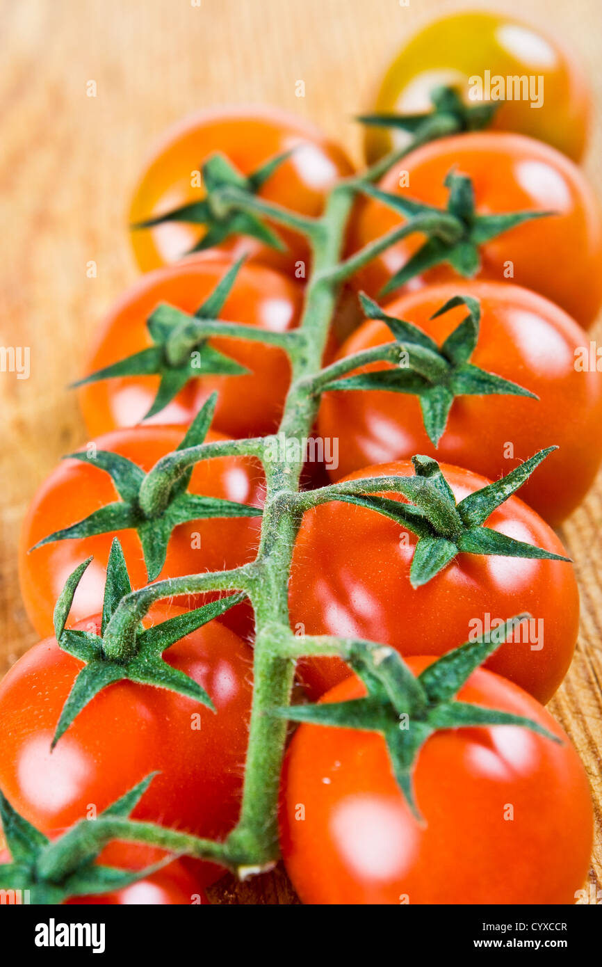 10 tomates rouges sur une vigne verte Banque D'Images