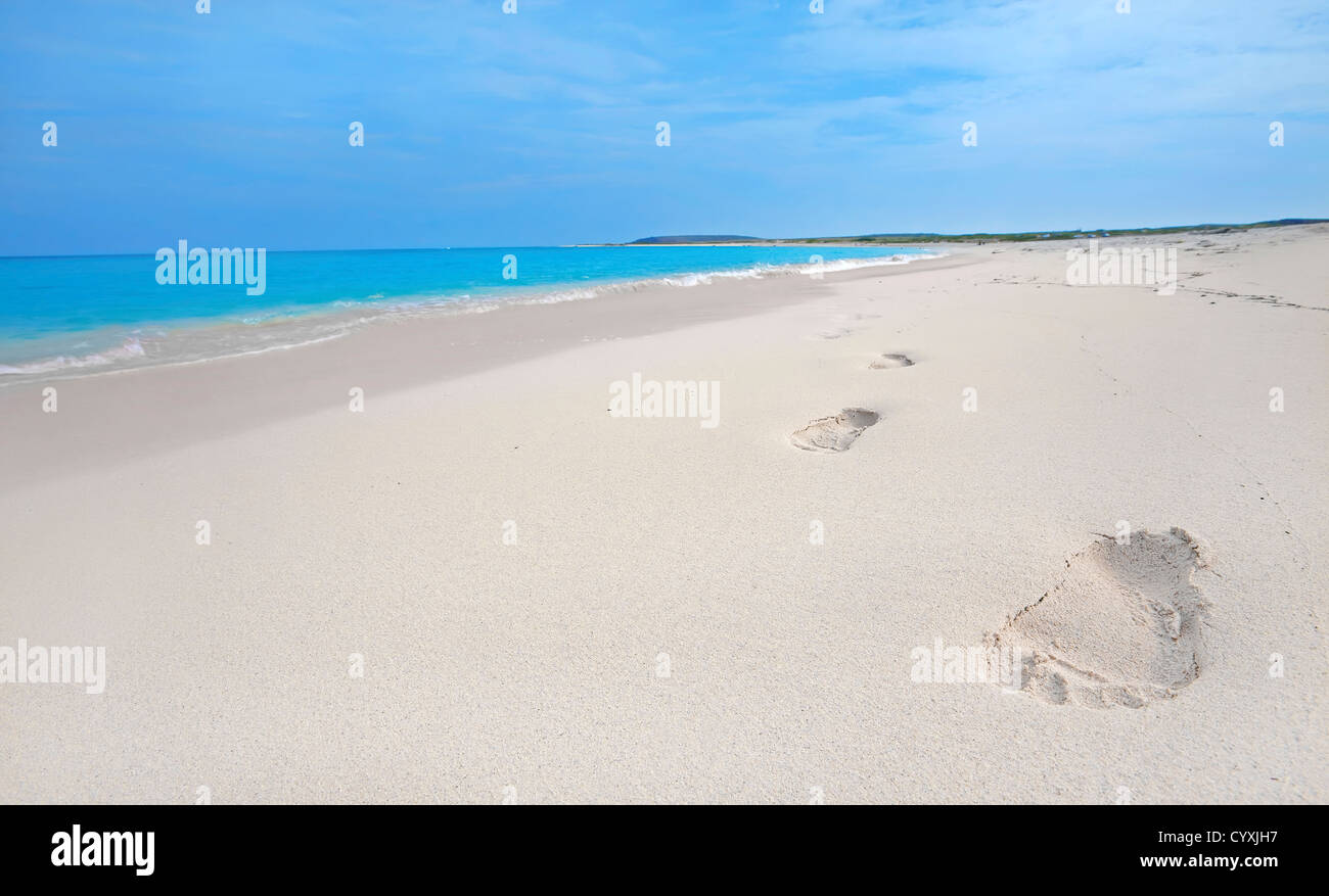 Des traces de pas dans le sable sur la plage d'Aruba, Boca Grandi Banque D'Images
