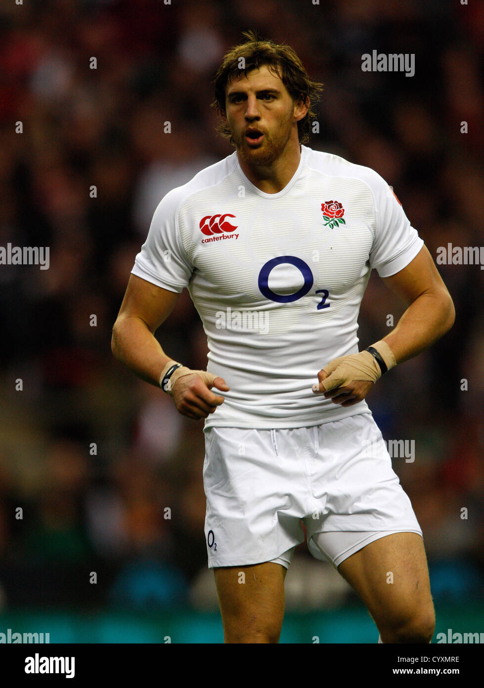 TOM WOOD ANGLETERRE TWICKENHAM MIDDLESEX ANGLETERRE RU 10 Novembre 2012 Banque D'Images