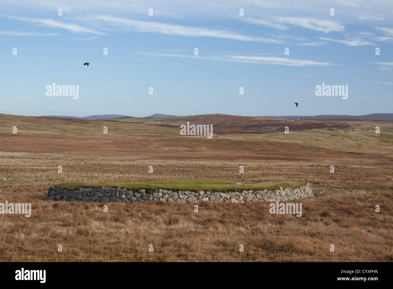 Staneydale Temple près de Bixter Westside Shetland Islands Banque D'Images