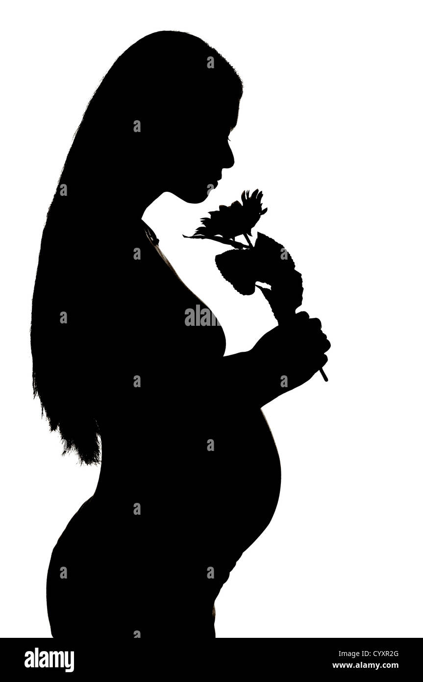 Silhouette d'une femme enceinte sur fond blanc Banque D'Images