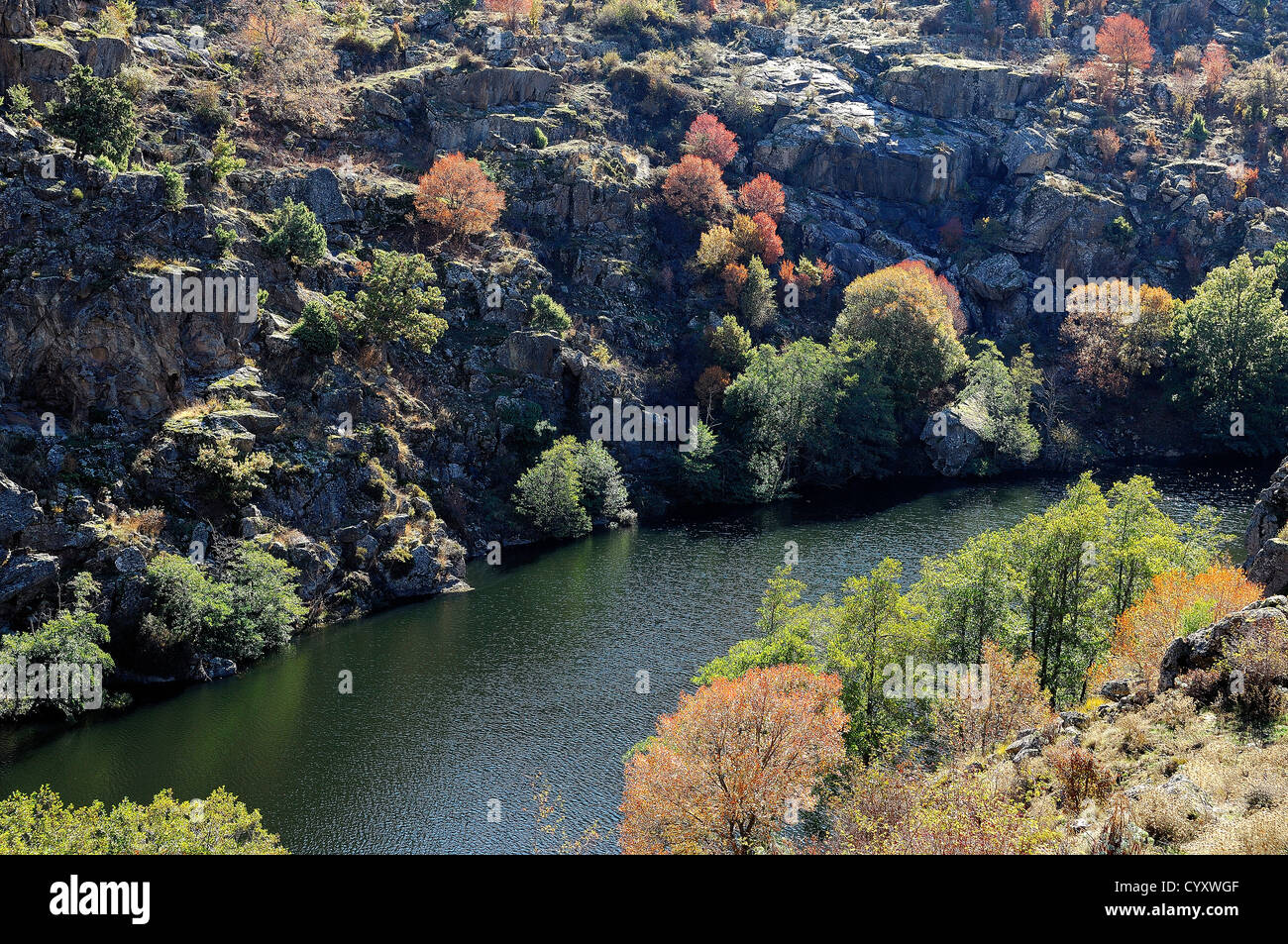 Golo et gorges de La Scala di Santa Regina en automne haute Corse France 2b Banque D'Images