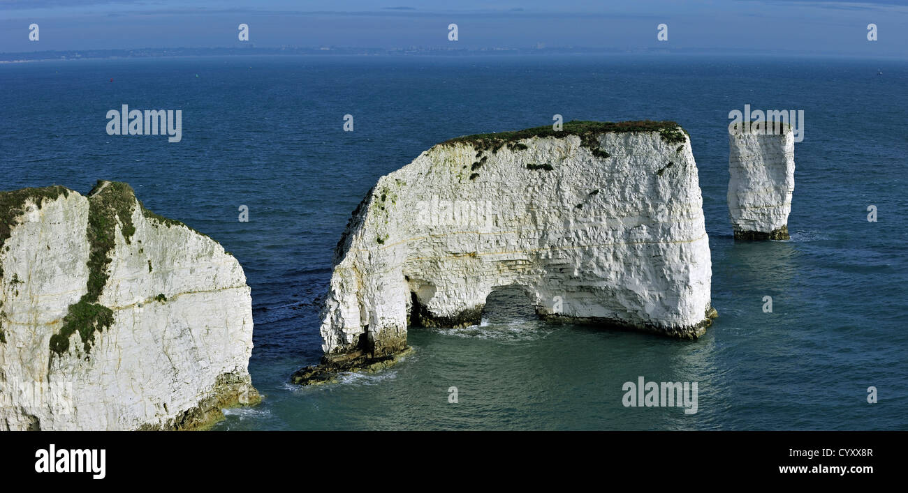 Craie érodée Old Harry Rocks sea stacks à Handfast Point sur l'île de Purbeck, Jurassic Coast, Dorset, dans le sud de l'Angleterre, Royaume-Uni Banque D'Images