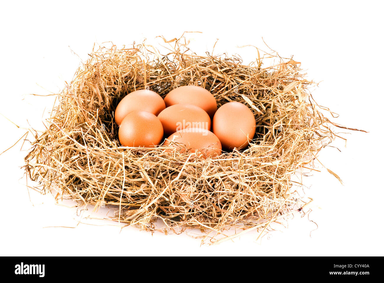 Oeufs frais de la ferme à hay sur fond blanc Banque D'Images