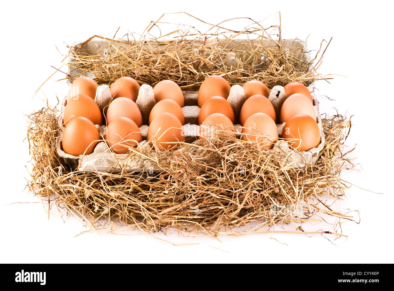 Oeufs frais de la ferme dans la région de pack sur le foin Banque D'Images