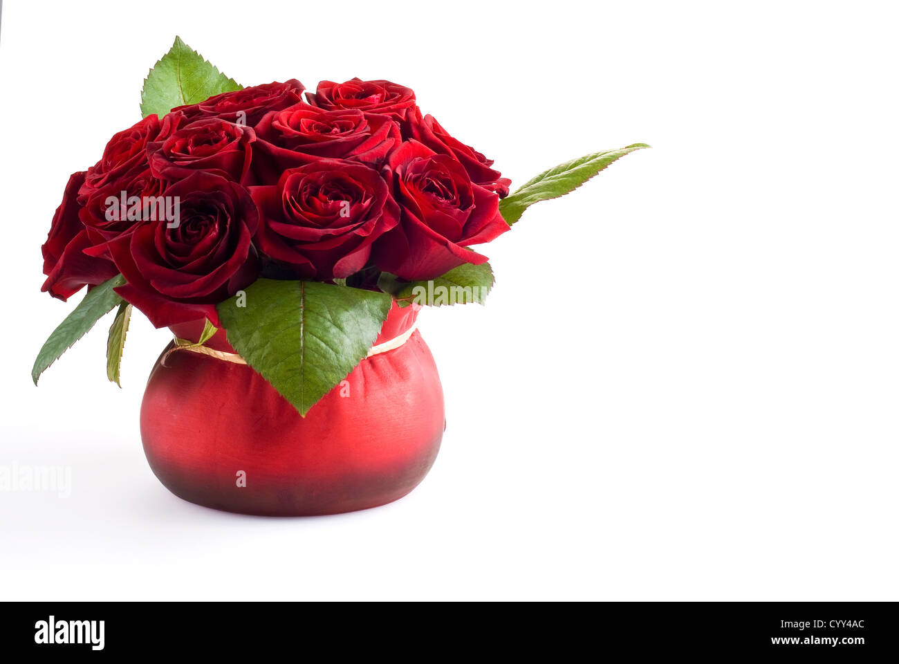 De belles roses dans le pot rouge sur fond blanc Banque D'Images