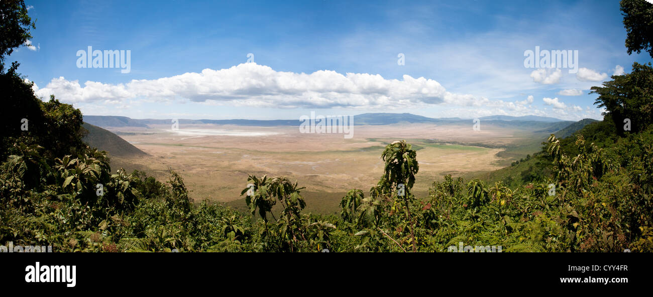 Une photo panoramique fusion depuis le bord du cratère du Ngorongoro. Tanzanie Banque D'Images