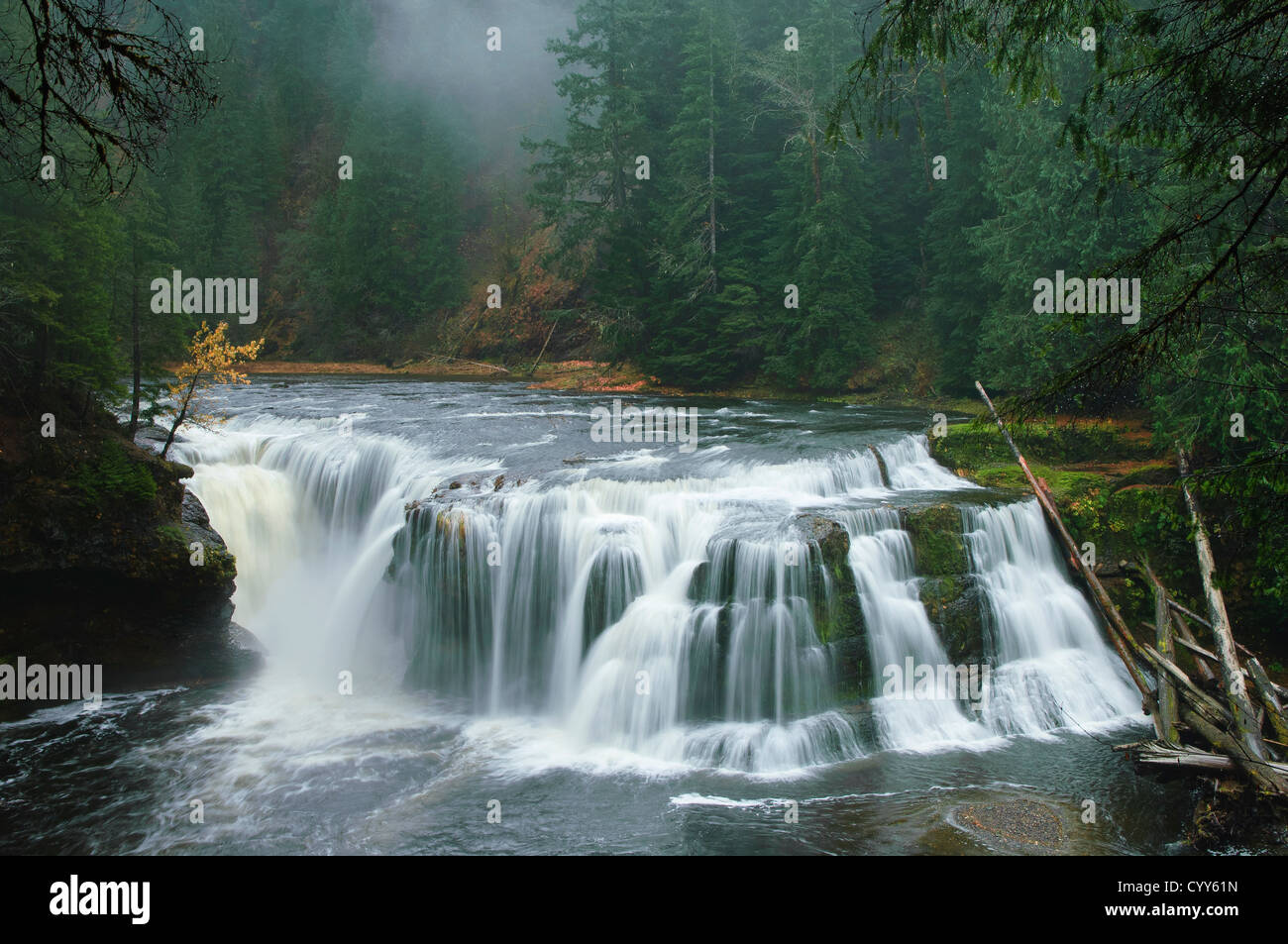 Abaisser Lewis tombe sur la rivière Lewis, Gifford Pinchot National Forest, des cascades, de l'État de Washington. Banque D'Images