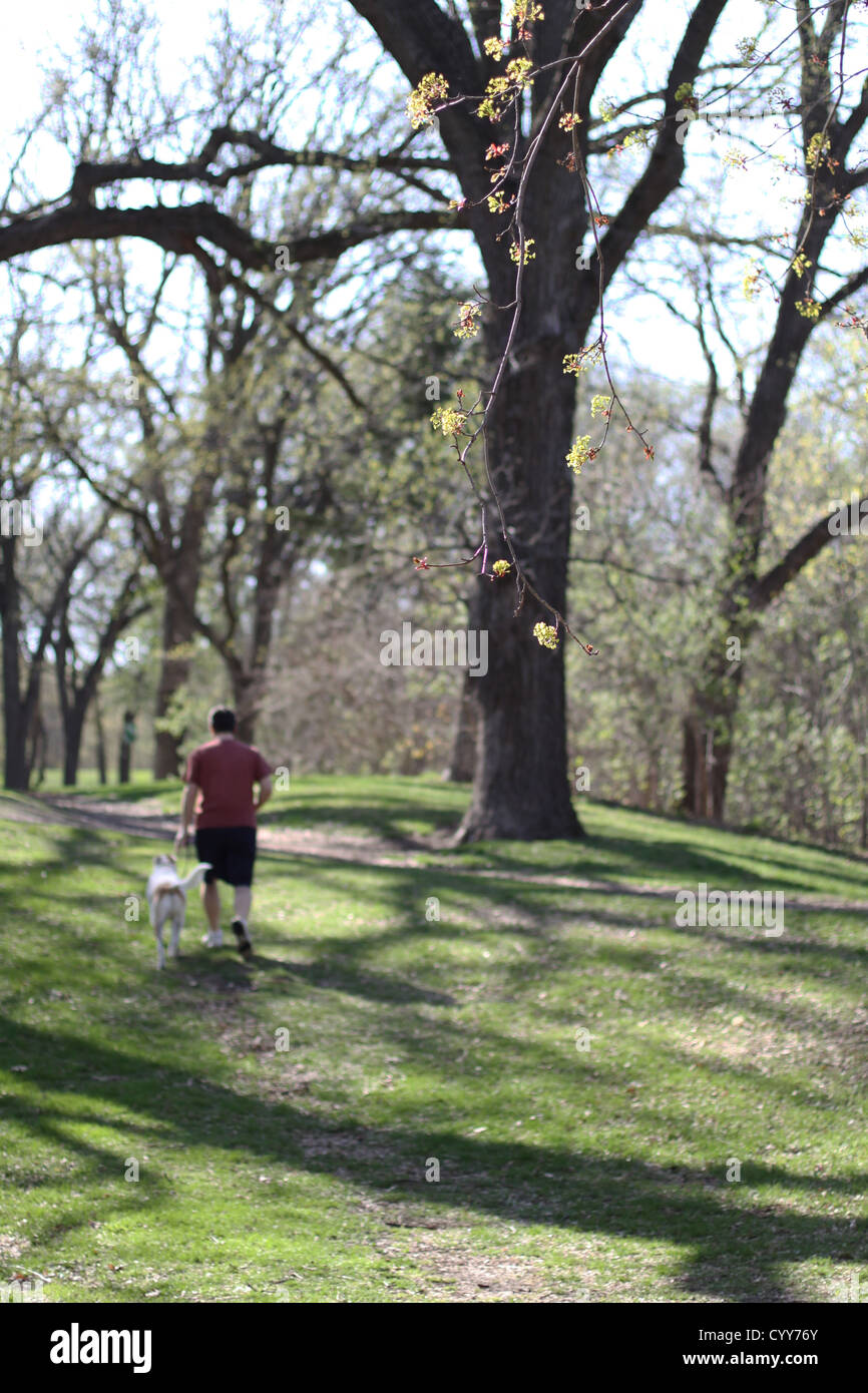 Un homme et une promenade de chiens dans un parc au début du printemps. Banque D'Images