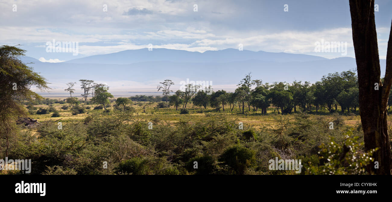 La diversité des paysages dans le cratère du Ngorongoro. Tanzanie Banque D'Images