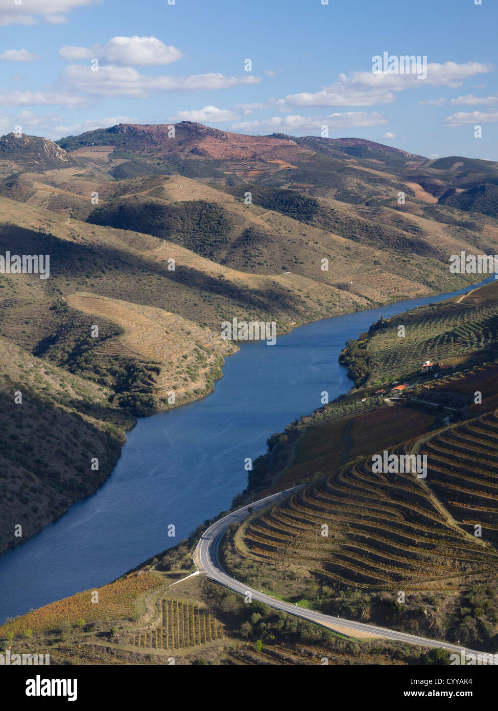 Paysage de la vallée du Douro dans la région de Foz Coa, au nord du Portugal, Europe Banque D'Images