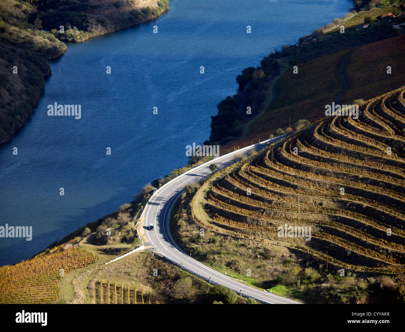 Vignes sur l'homme a fait des terrasses sur le fleuve Douro Valley près de Foz Coa, au nord du Portugal, Europe Banque D'Images