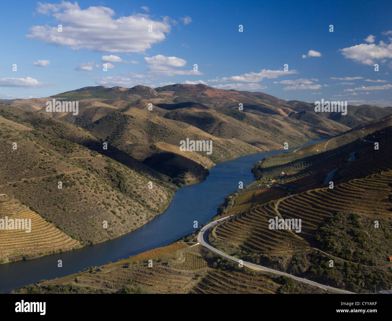 Paysage de la vallée du Douro dans la région de Foz Coa, au nord du Portugal, Europe Banque D'Images