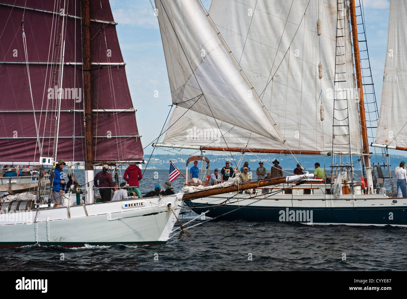 Un voilier gréé avec tanbark voiles couleur participe à une course de voilier à Port Townsend, Washington, USA. Banque D'Images