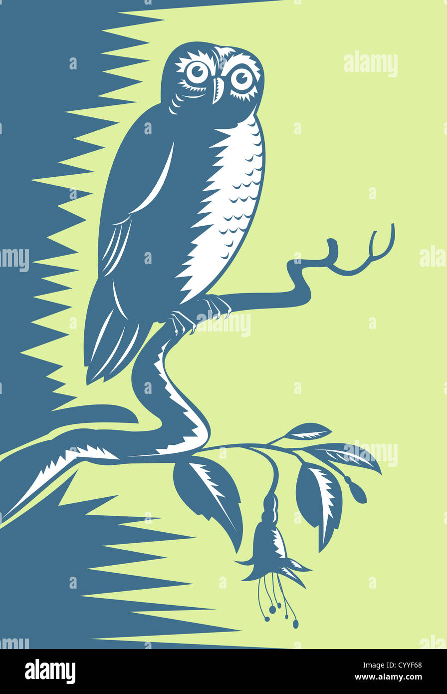 Illustration d'un hibou perché sur la branche fait en rétro style gravure sur bois. Banque D'Images