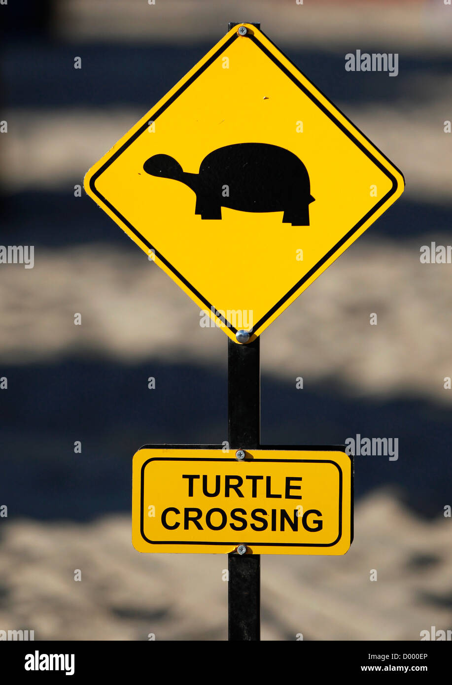 Panneau d'avertissement jaune TURTLE CROSSING, tortues traversent la plage pour pondre leurs œufs, Manavgat, Turquie Banque D'Images