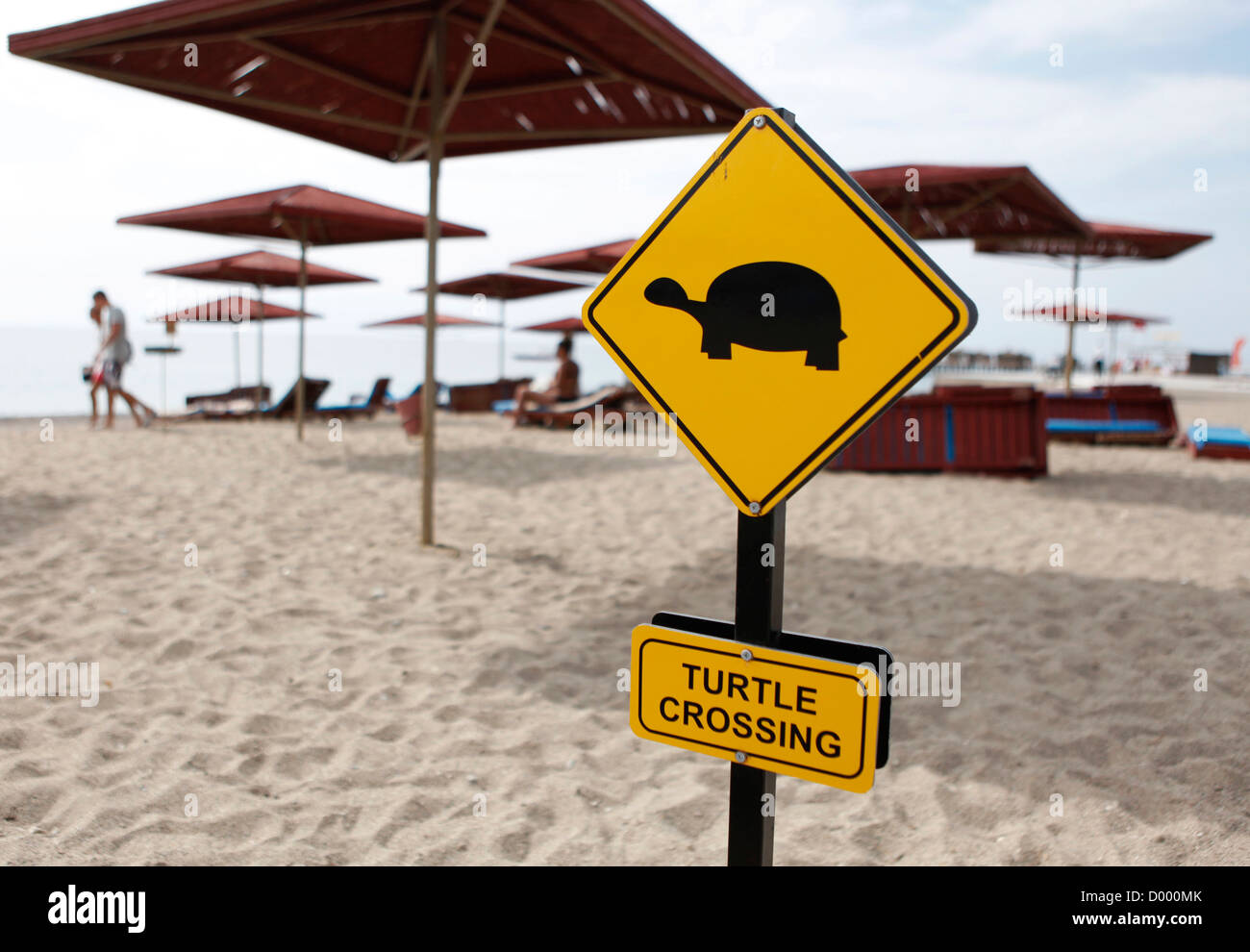 Panneau d'avertissement jaune TURTLE CROSSING, tortues traversent la plage pour pondre leurs œufs, Hôtel Club Ali Bey Manavgat, Turquie, Banque D'Images