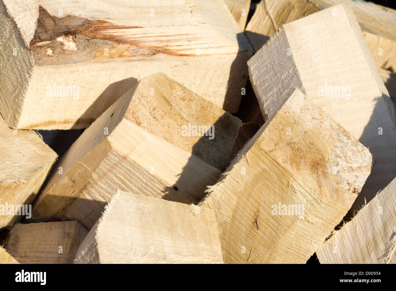 Sur une pile de bois de chauffage Banque D'Images