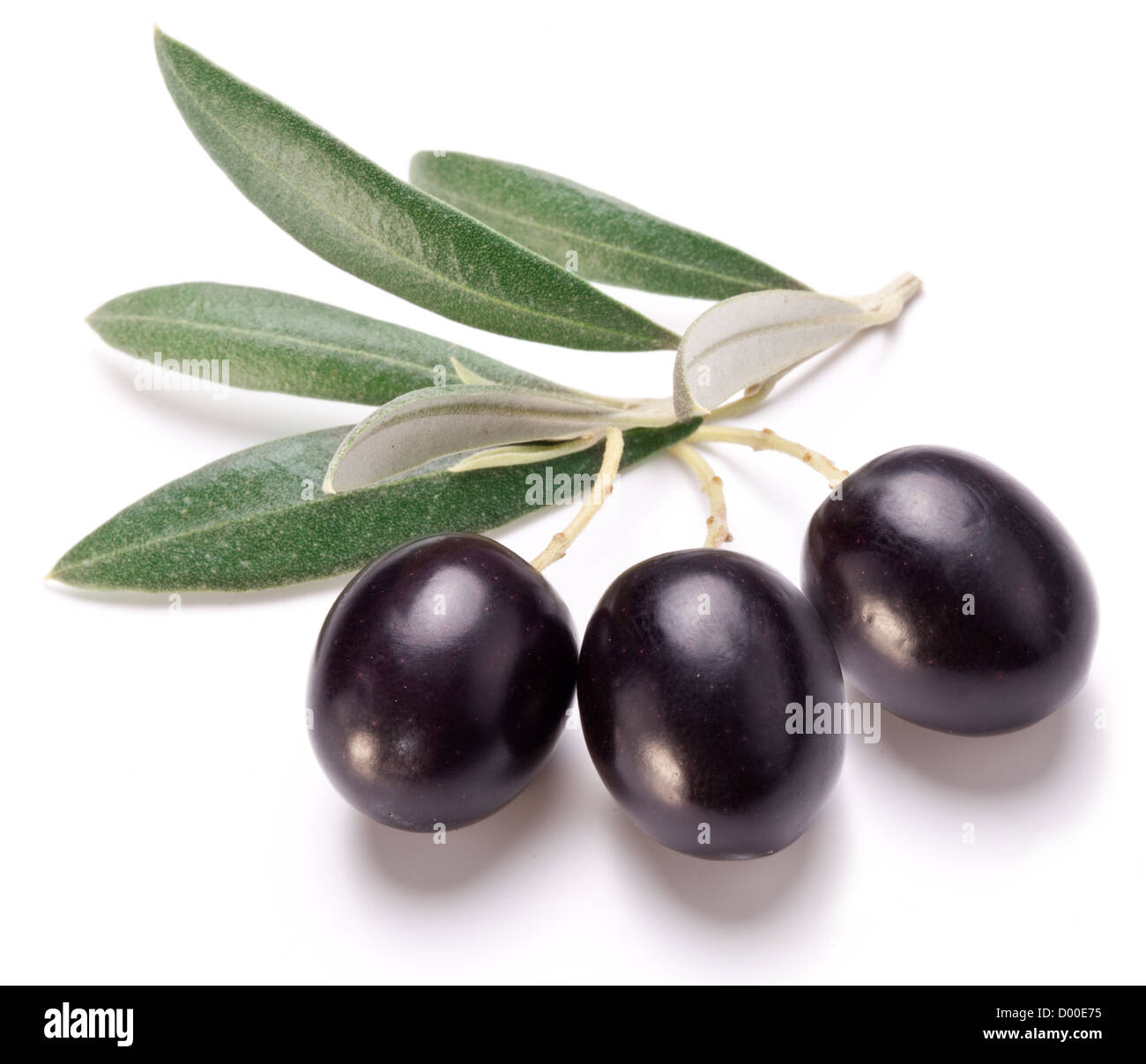 Olives noires mûrs avec des feuilles sur un fond blanc. Banque D'Images