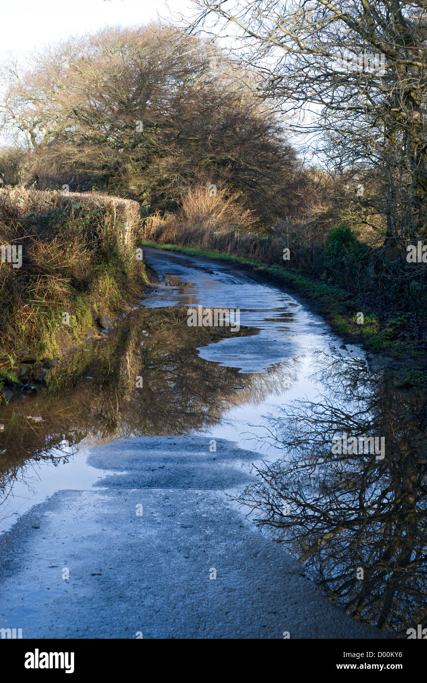 Chemin de campagne inondée près de pontypridd South Wales valleys uk Banque D'Images