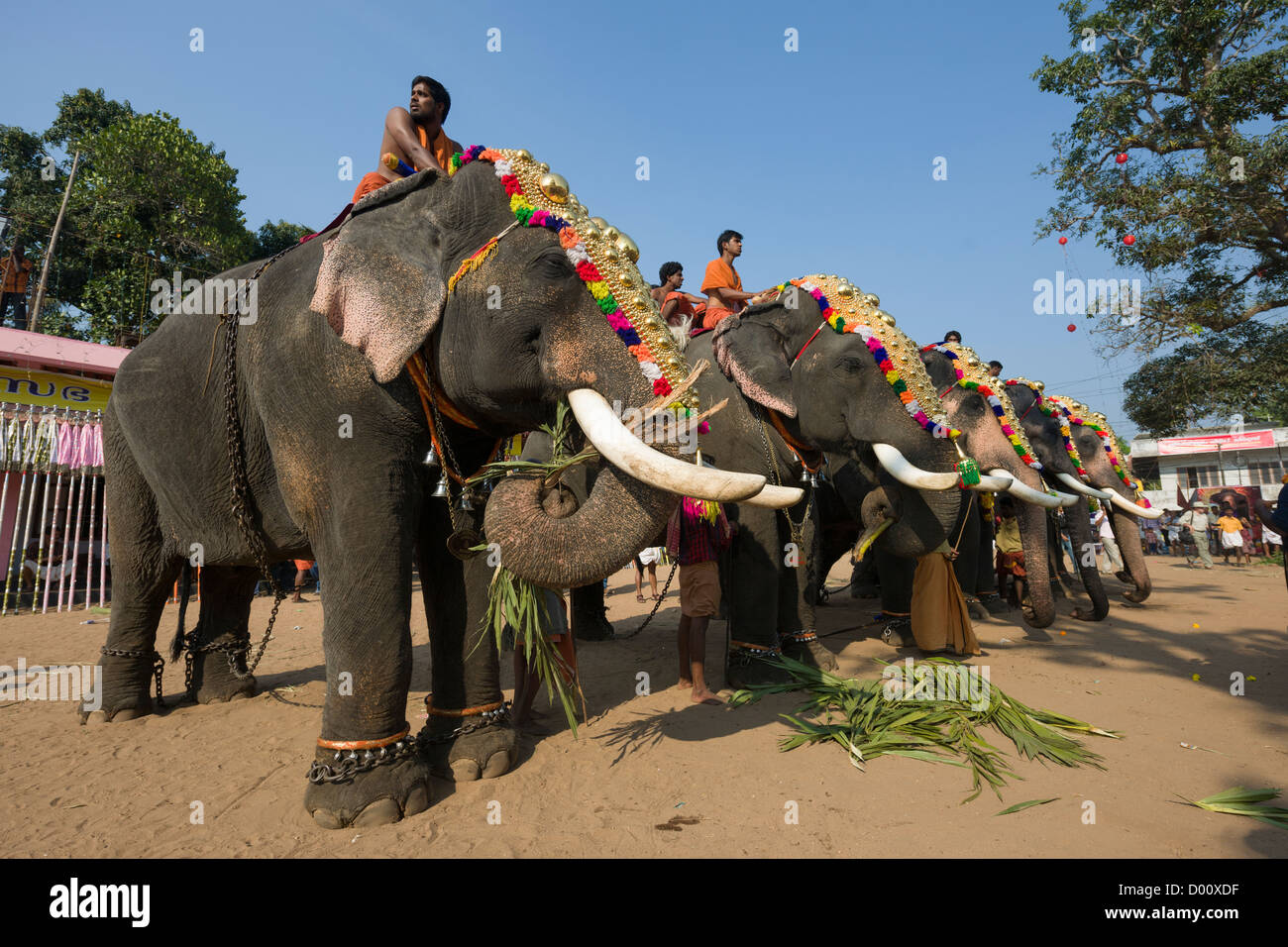 Les éléphants portant des Nettipattam Caparisoned Golden Temple en attendant le Goureeswara Festival, Cherai, près de Kochi (Cochin), Kerala, Inde Banque D'Images