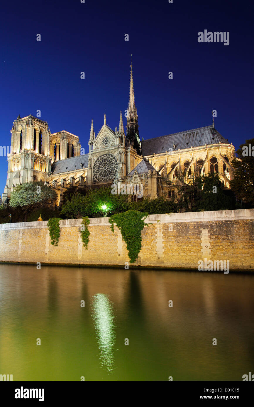 Notre Dame de Paris la nuit, la cathédrale Notre-Dame de Paris Banque D'Images