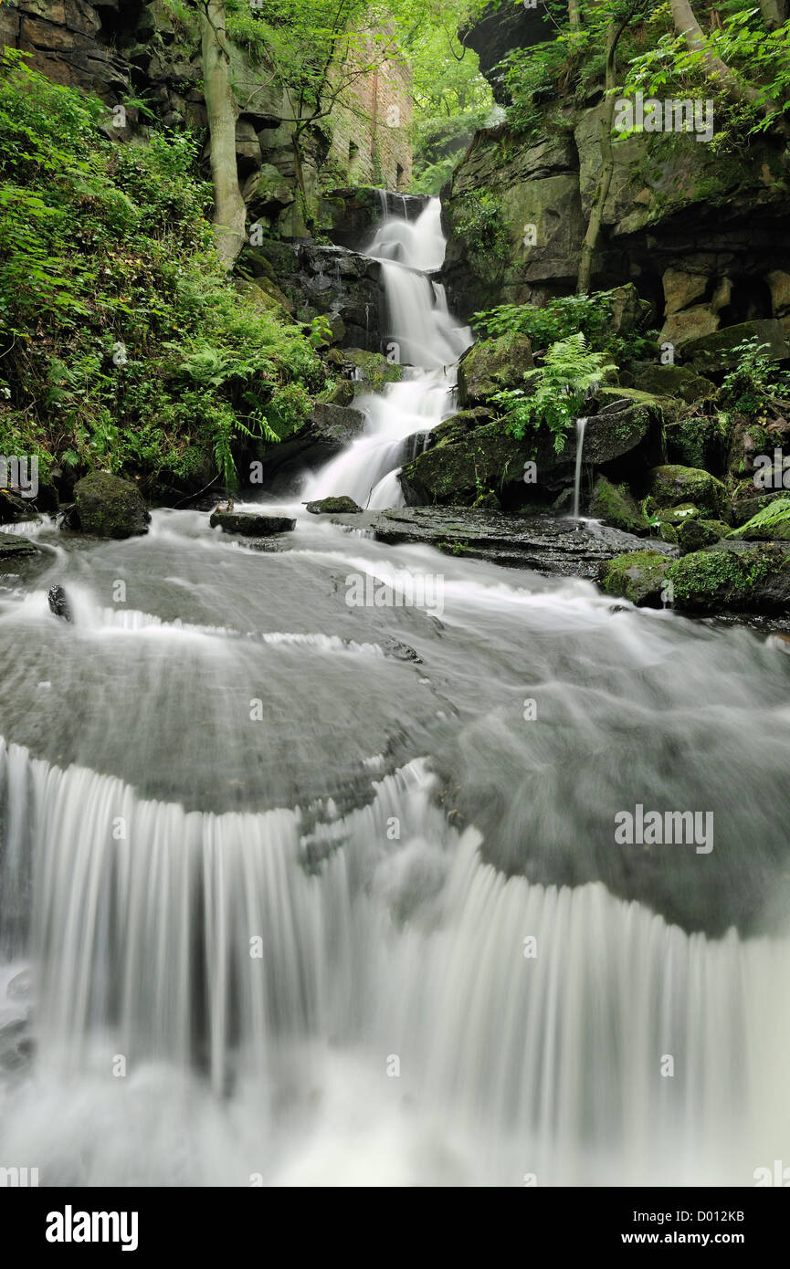 Une chute d'eau près des usines désaffectées tenu par Richard Arkwright dans Lumsdale la vallée, Derbyshire, Royaume-Uni. Banque D'Images