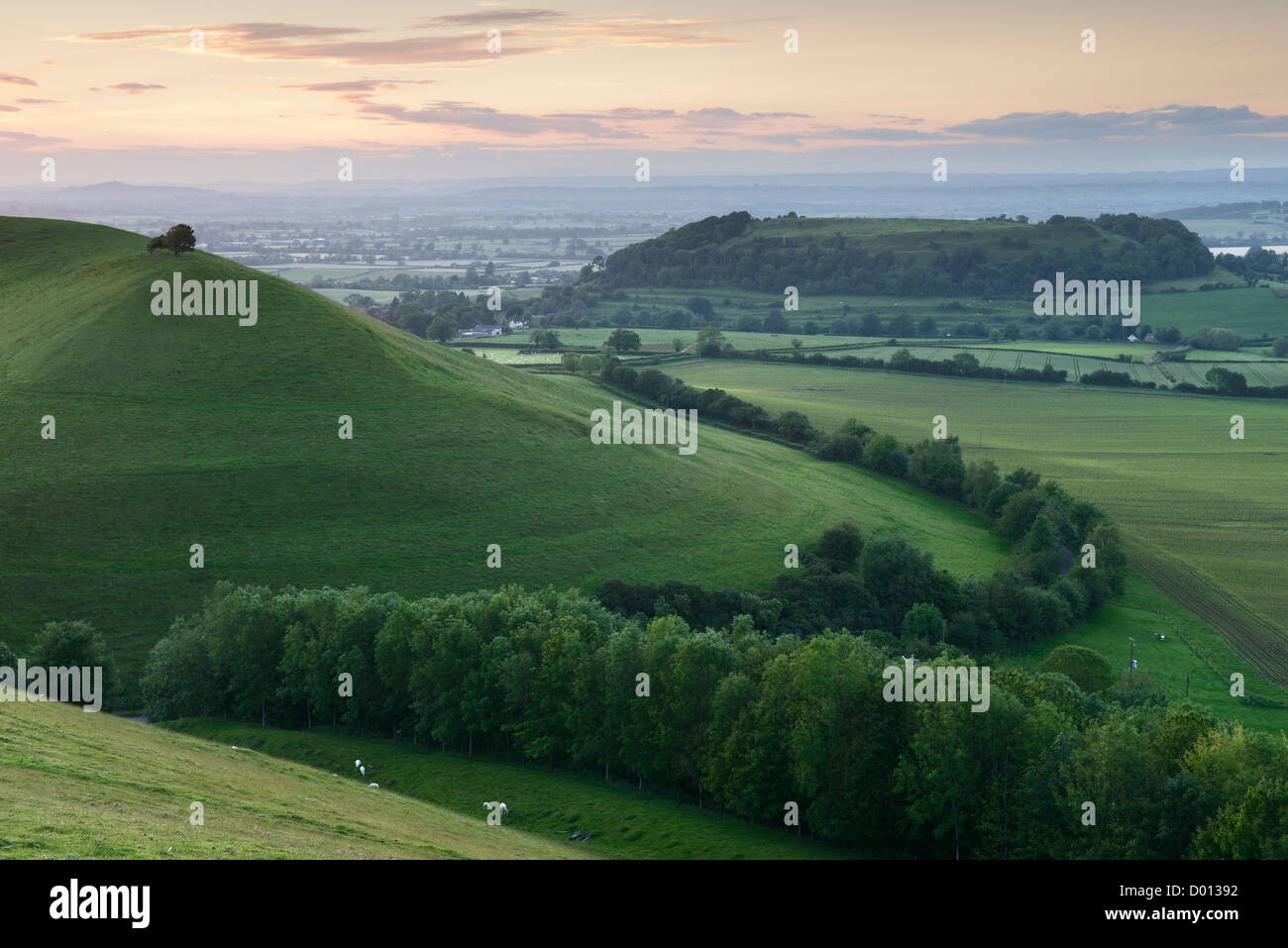 Cadbury Castle et Parrock Hill sur le bord du Somerset, Royaume-Uni. Banque D'Images