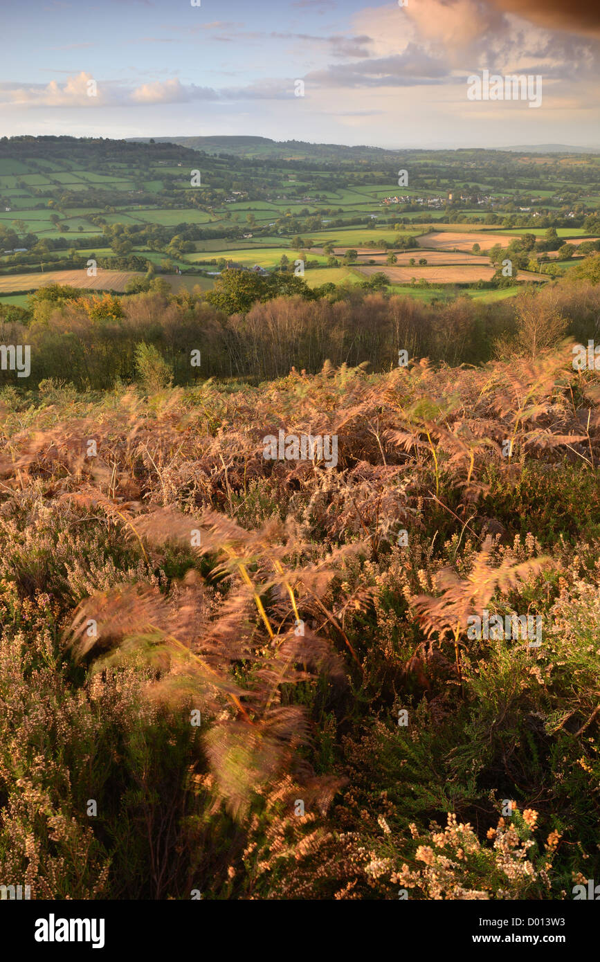 Phare de culmstock Banque de photographies et d’images à haute résolution Alamy