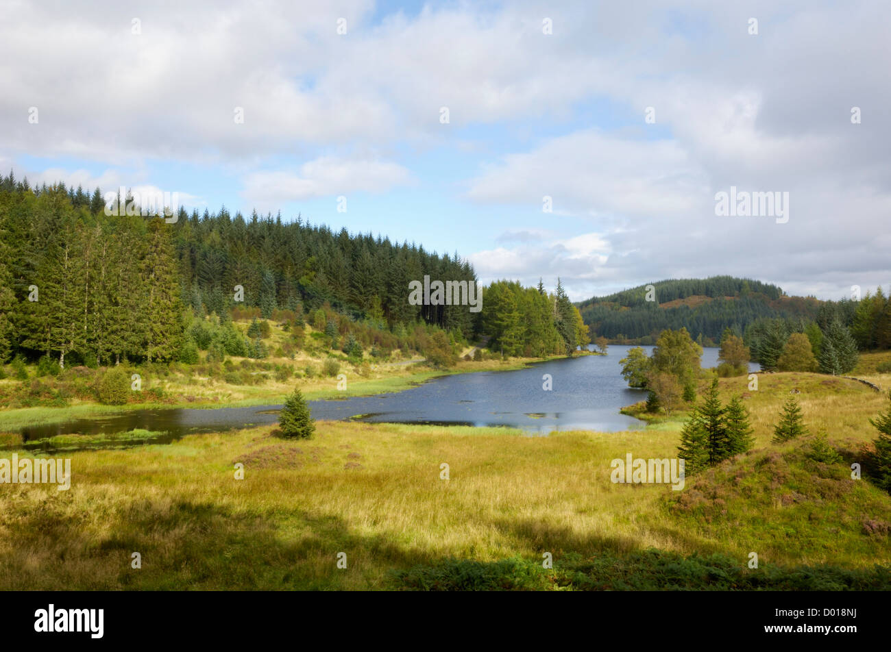 Loch Drunkie, Parc national du Loch Lomond et des Trossachs, Stirling, Ecosse Banque D'Images