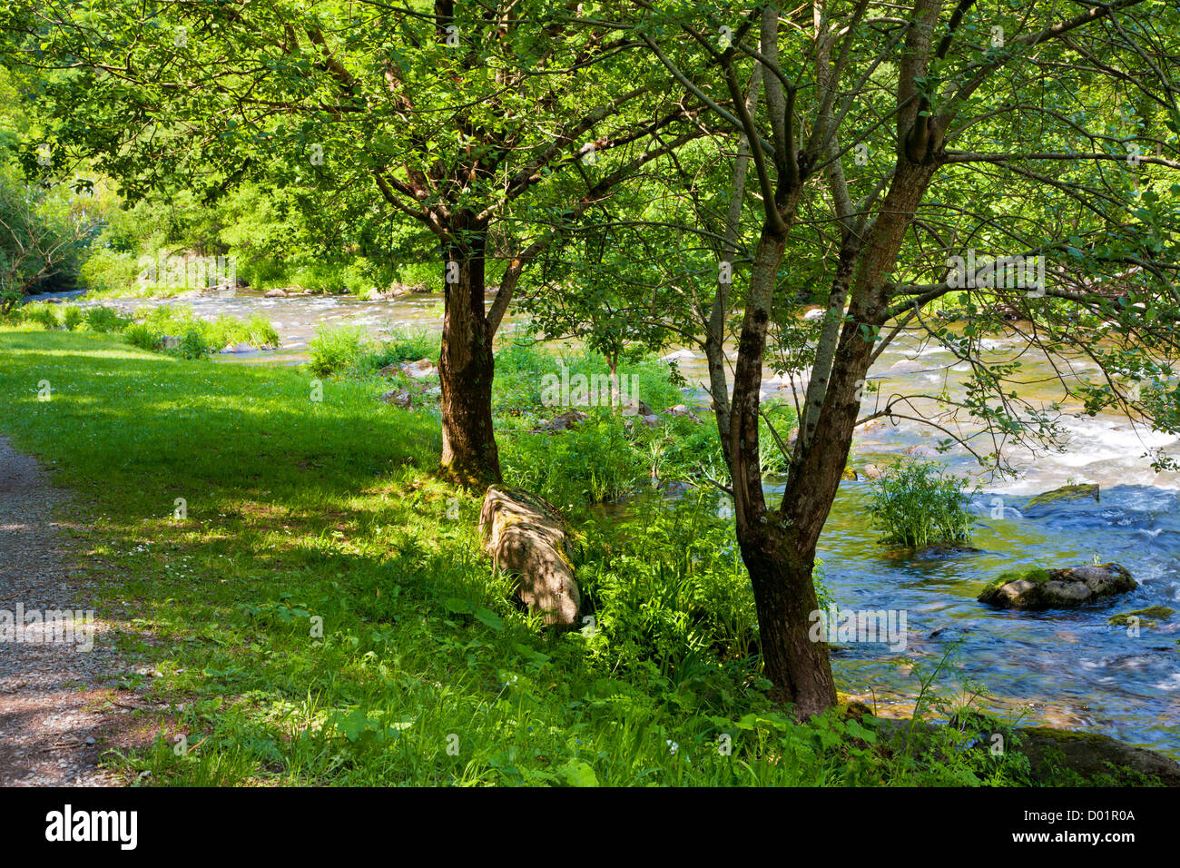 La rivière Lyn (Est) le long de la voie de Watersmeet près de Lynmouth, Exmoor, North Devon, England, UK Banque D'Images