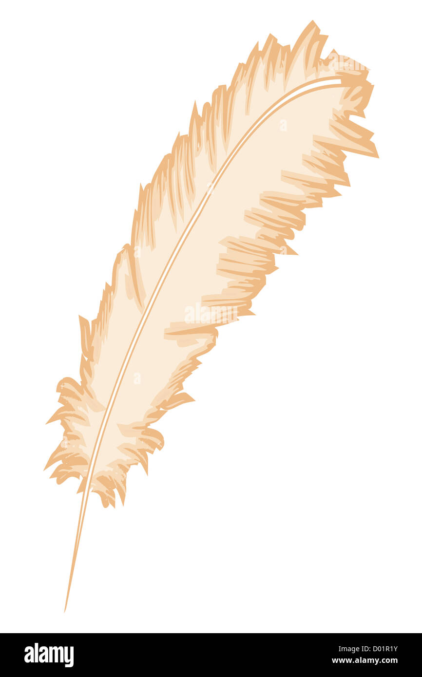 Illustration de feather feuille sur fond isolé Banque D'Images