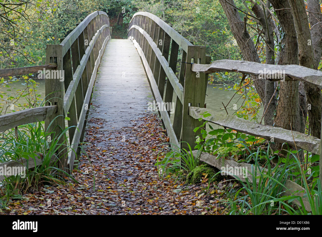 La passerelle EN PLATTS LODER VALLEY. WAKEHURST PLACE. Le Sussex. UK Banque D'Images