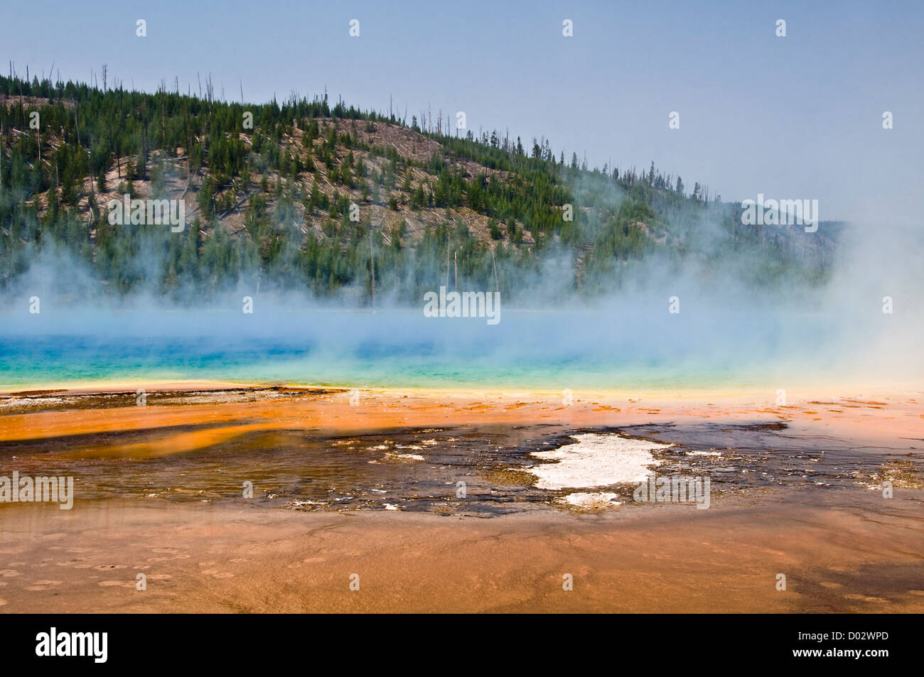 Grand Prismatic Spring - Midway Geyser Basin, parc national de Yellowstone, Wyoming, USA Banque D'Images