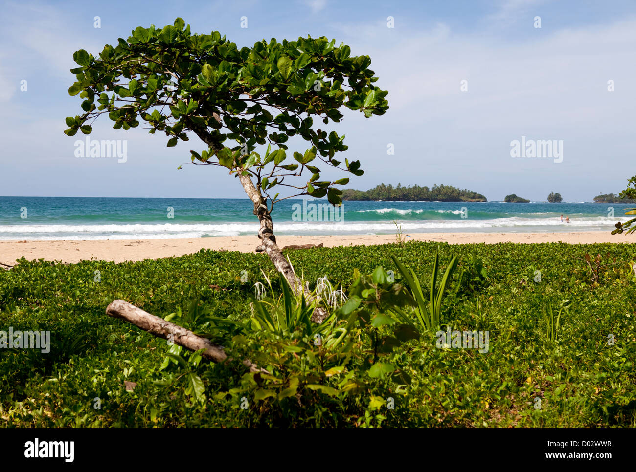 Red Frog Beach, Bocas del Toro, PANAMA Banque D'Images