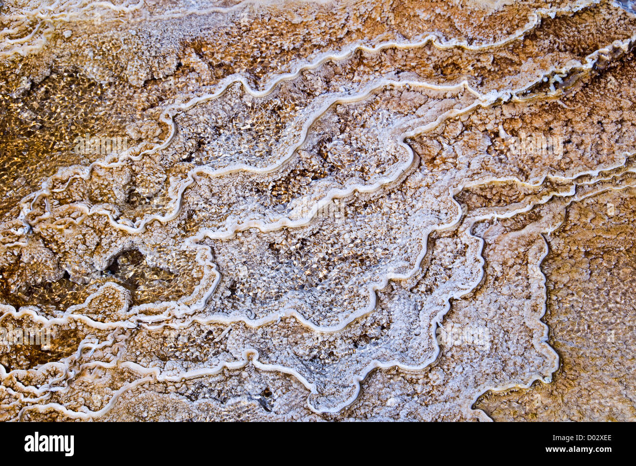 Vue détaillée de Mammoth terrasses - Parc national de Yellowstone, Wyoming, USA Banque D'Images