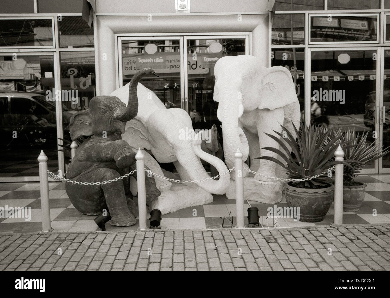 La photographie de voyage - l'art de l'éléphant dans une scène de rue d'une boutique à Vientiane au Laos dans l'Indochine en Asie du Sud-Est Extrême-Orient. Business Banque D'Images