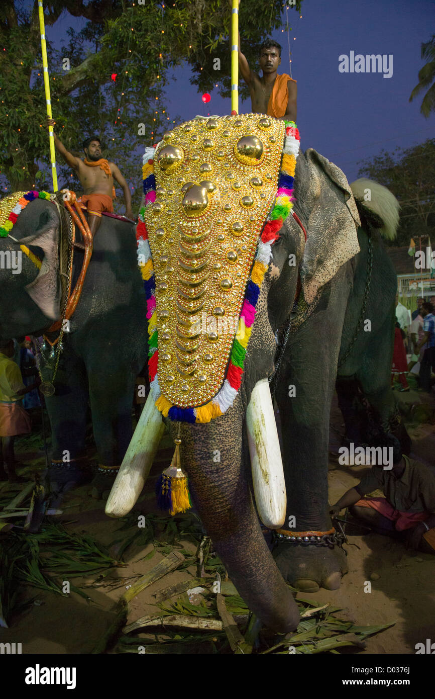 Les éléphants portant des Nettipattam Caparisoned or de nuit à l'Goureeswara Temple Fête, Cherai, près de Kochi (Cochin), Kerala, Inde Banque D'Images